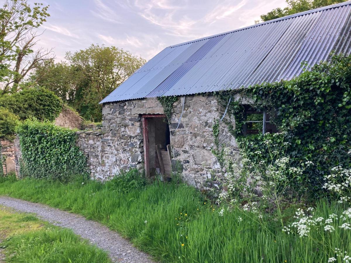 Hillhead Country Retreat Villa Castlewellan Ngoại thất bức ảnh