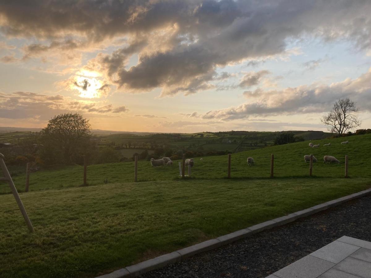 Hillhead Country Retreat Villa Castlewellan Ngoại thất bức ảnh